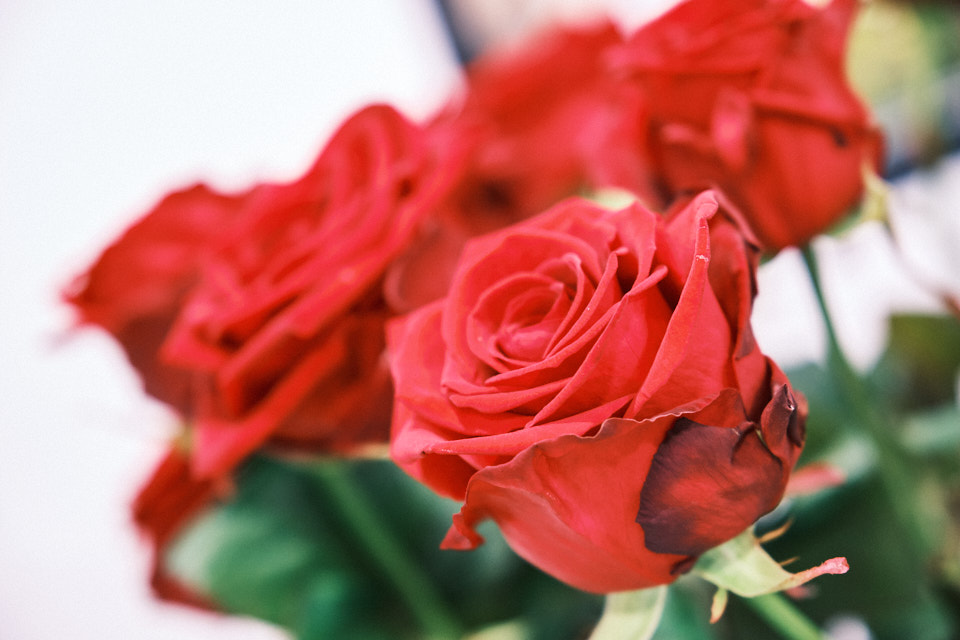 Des fleurs Saint-Valentin à Épinal pour célébrer l’amour